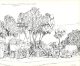 (185) Australia  - WA - Coolgardie (drawing) - Kalgoorlie / Coolgardie