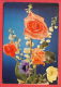134031 / Roses Rosas Rose Rosen Rosier Rozen FLOWERS FLEURS BLUMEN 1977 Belgique Belgium Belgien Belgio - Storia Postale