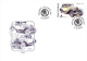 Year 2013 - Old Automobile Skoda, Set Of 2 FDC´s - FDC