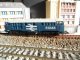 Scala N - LIMA BRITISH LOCO DIESEL Co Co  #  31246 - N SPUR - N GAUGE - - Locomotives