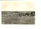 Rance Panorama ( Vaches ) - Sivry-Rance
