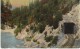 Cow Creek Creek Canyon OR Oregon, Railroad Tunnel, C1910s Vintage Postcard - Andere & Zonder Classificatie