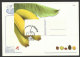 Portugal Fruits De Madère Bananes Carte Maximum Avec Bloc 2009 Madeira Fruit Bananas Maxicard - Cartes-maximum (CM)