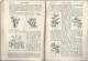 Delcampe - Botanique/Horticulture/Gu Ide / Royal Botanic Garden Of KEW/ W.J. HOOKER/ London/ 1848  LIV12 - 1800-1849