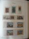 Delcampe - Collezione Italia 1981/97 Su Fogli Leuchtturm (m1) - Collections (en Albums)