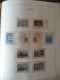 Delcampe - Collezione Italia 1981/97 Su Fogli Leuchtturm (m1) - Collections (en Albums)