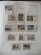 Delcampe - Collezione Italia 1981/97 Su Fogli Leuchtturm (m1) - Collections (en Albums)