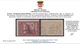 ITALY - EGEO OCC. TEDESCA  N.118-125 - Cat.1150 Euro - GOMMA INTEGRA - MNH** - Con Certificato - Egeo (Occup. Tedesca)