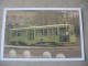 80 ANNI ATM - TRAM FILOBUS AUTOBUS SABBIERA - CARTOLINE NUOVE - Tram