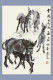 (N54-045  )  Anes Esel Donkey Burros Y Asnos, Postal Stationery-Entier Postal-Ganzsache-Postwaar Destuk - Donkeys