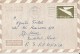 BIRD, AEROGRAMME, 1969, ISRAEL - Airmail