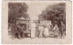 Postcard - Trucks, Mercedes 1936     (13683) - Trucks, Vans &  Lorries