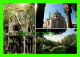 PARIS (75) - CIMETIÈRE DU PÈRE LACHAISE - 3 MULTIVUES - HÉLOISE &amp; ABÉLARD, COLUMBARIUM, JARDIN - ÉDITIONS VERMET - - Distrito: 20