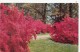 P4116 Delaware Winterhur Gardens  USA Front/back Image - Autres & Non Classés