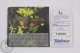 Spanish Collectible  Phone Card Telefonica: Fauna Iberica - Macroglossum Stellatarum / Hummingbird Hawk-Moth - Sonstige & Ohne Zuordnung