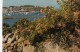 BF13617 The Harbour From Seaways Isles Of Scilly United Kingdom Front/back Image - Scilly Isles