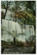 (499) Very Old Postcard - Australia - Tasmania - Russell Falls - Wilderness