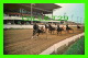 CHARLOTTETOWN, PRINCE EDWARD ISLAND - RACE TRACK - ISLAND WHOLESALE - - Charlottetown