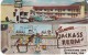 Kellogg Idaho, Sunshine Inn, Bar &amp; Cafe, Auto, C1960s Vintage Postcard - Other & Unclassified