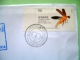 Hong Kong 2014 Cover To Nicaragua - Birds Sea Eagle - Insect - Firefly - Cartas & Documentos