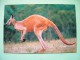 Australia Pre Paid Card - Animal Kangaroo - Lettres & Documents