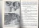 Manuel/ Australian Rocks And Minerals/An Introduction To Geology/John Child/Periwinkle / 1963    LIV43 - Mineralien