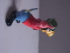 1 Figurine - Parrot With Umbrella - Vogels