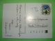 Slovakia 1995 Postcard "flowers - Christmas" Sent Locally - Football Soccer World Cup - Tax Remark - Lettres & Documents