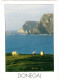 Donegal (Sheep) - Ireland / Eire - Donegal