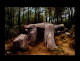 56 - ERDEVEN - Dolmen - Erdeven