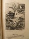 Delcampe - Patira. Raoul De Navery. édition Populaire Très Illustrée (Lemaître, Zier, Castelli...). Sd (1890) - Abenteuer