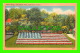 HARTFORD, CT - FLORAL FLAG, ELIZABETH PARK - TRAVEL IN 1953 - PUB. BY H.P. KOPPLEMAN - - Hartford