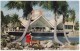 TAMPA FL, BUSCH GARDENS HOSPITALITY HOUSE~WOMAN FEEDING DEER~c1960s Vintage Florida Postcard - Tampa