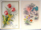 Cpa Lot 2x Litho 1x M.G.A. Illustrateur Theme Tulipe Aquarelle Maison Ajoutis Fantaisie Petale Feuilles Velour - Collezioni E Lotti