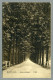 Elswoudslaan - Overveen, Holland Netherlands Nederland - Uitgave Nauta (Velsen) C1910-13 - Bloemendaal