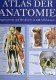 Atlas Der Anatomie 2006 Antiquarisch 32€ Organ-Systeme Und Strukturen Mit 439 Abbildungen/Fotos Medica Lexika Of Germany - Santé & Médecine