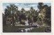 USA - DAYTONA FL - HOENE PARK (RIDGEWOOD AVENUE) VIEW ~ca 1910s-1920s Florida Unused Vintage Postcard [5714] - Daytona