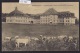 Münsingen : Landwirtschaftlische Anstalt SCHWAND (Nordseite) Mit Kühen Um. 1915 (13´499) - Münsingen