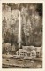 249005-Oregon, Multnomah Falls, RPPC, Simmons-by-the-Falls, Columbia River Highway, Sawyers Photo No C 13-106 - Sonstige & Ohne Zuordnung