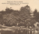 ALTE POSTKARTE GRUSS AUS PRIEROS-BRÜCK GASTHOF ZUM WASSERSPORT BES. W. ROSCHINSKI HEIDESEE Prierosbrück Gräbendorf Cpa - Brueck