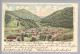 AK DE Bay Jmmenstadt 1902-02-13 Litho Rosenblatt #6024 - Immenstadt