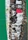 Germania -Folder Di 4 Pagg. Nazionale Tedesca  Mondiali Di Calcio Korea 2002  Con Foto E Autografi Della Squadra - 2002 – Corée Du Sud / Japon
