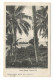 ÎLES  FIDJI  /  FIJI  /  TAVIUNI  /  COAST  SCENE  /  Published By MORRIS , HEDSTROM  & Co., LEVUKA , FIJI - Fiji