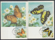 TMA-1 CUBA.1982. TARJETAS MAXIMAS. MAXIM CARD. MARIPOSAS. BUTTERFLIES COMPLETE SET. - Cartoline Maximum