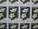 RUSSIA 1977 MNH (**)YVERT 4366-69.fleurs En Sibérie. - Full Sheets