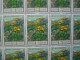 RUSSIA 1976 MNH (**)YVERT 4313-15 Flowers Of The Caucasus Mountains .3 Sheets Of 25 Stamps. - Feuilles Complètes