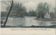 Etablissement De Carlsbourg  -  Le Parc:  LéEtang Des Cygnes   1900   Naar   Malines - Paliseul