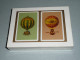 Rare Coffret De 2 Jeux De 54 Cartes NEUF, Décors Ballon Montgolfier, Fournier Plastic Coated SPAIN Espagne, Jeu - 54 Cards