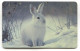 RABBIT KANINCHEN - Phonecards Telecartes Telefonkarten - Lapins