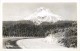 261917-Oregon, Mount Hood, RPPC, Mt Hood Loop Highway, Sawyers Photo No 15-442 - Other & Unclassified